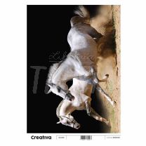 Laminas para Decoupage Creativa Animales 116-802