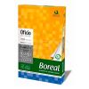 Resma 80 gr Oficio Boreal