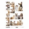 Laminas para Decoupage Animales 116-801 Creativa