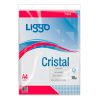 Folios cristal A4 x 10 unidades Liggo