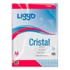 Folios cristal A4 x 100 unidades Liggo