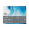 Block W&N Watercolour Professional Pad 300 g 18 x 25 20 hojas grano satinado (6664005)