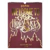 Almanaque 2025 30 x 40 Harry Potter 1419222 Mooving