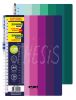 Cuaderno Pack x 2 70 g A4 120 hojas rayado (73224) Rome