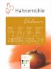 Block Hahnemuhle Velour Pastel Colores 260 gr 30 x 40 10 hojas (10628602)